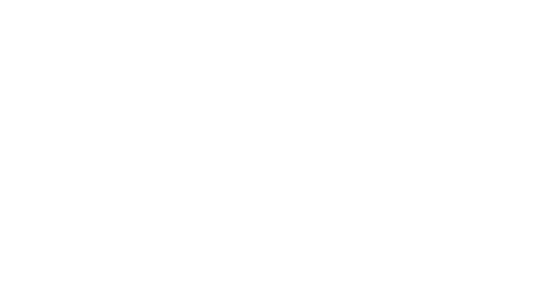 Cars Experience